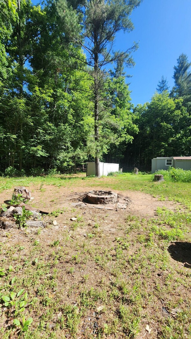 5213 S Newcosta Ave, Newaygo, MI 49337 - view of yard