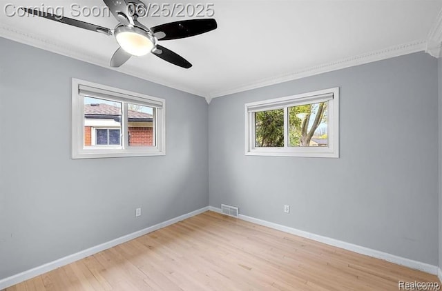 8100 Darlene St, Warren, MI 48093 - photo 8