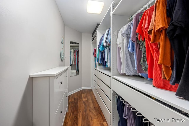 12865 S Englewright Dr, Sand Lake, MI 49343 - spacious closet with dark wood-style floors