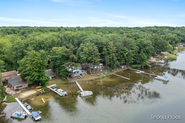 12865 S Englewright Dr, Sand Lake, MI 49343 - aerial view of a large body of water and a heavily wooded area