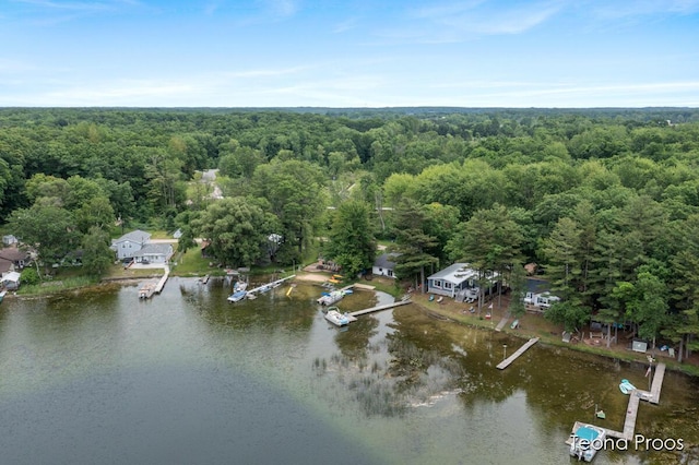 12865 S Englewright Dr, Sand Lake, MI 49343 - aerial overview of property's location featuring a heavily wooded area and a large body of water