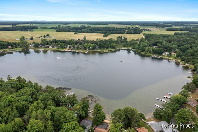 12865 S Englewright Dr, Sand Lake, MI 49343 - aerial view of a large body of water