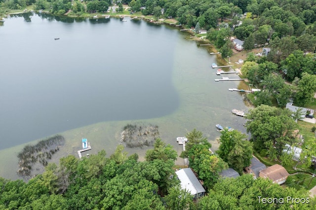 12865 S Englewright Dr, Sand Lake, MI 49343 - bird's eye view of a large body of water