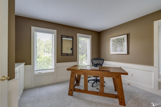 7145 S Valley Cir, Lambertville, MI 48144 - office featuring carpet flooring, wainscoting, and a decorative wall