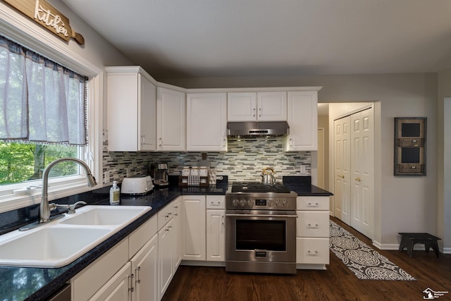 7145 S Valley Cir, Lambertville, MI 48144 - kitchen featuring appliances with stainless steel finishes, under cabinet range hood, white cabinetry, decorative backsplash, and dark wood-type flooring