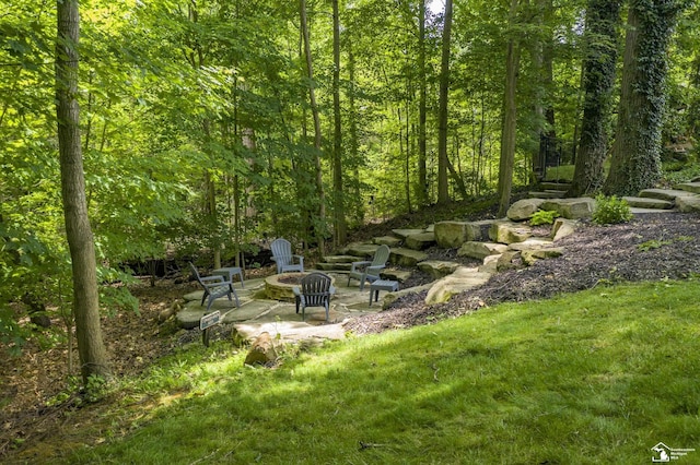 7145 S Valley Cir, Lambertville, MI 48144 - view of yard with a fire pit, a patio, and a view of trees