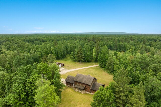 9644 Guenthardt Rd, Manistee, MI 49660