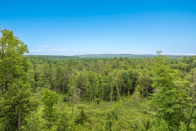 9644 Guenthardt Rd, Manistee, MI 49660