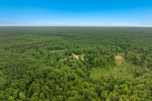9644 Guenthardt Rd, Manistee, MI 49660
