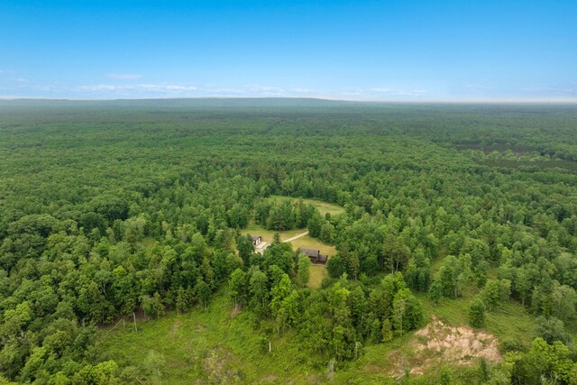 9644 Guenthardt Rd, Manistee, MI 49660