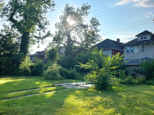 3254 W W Philadelphia St, Detroit, MI 48206 - view of green lawn