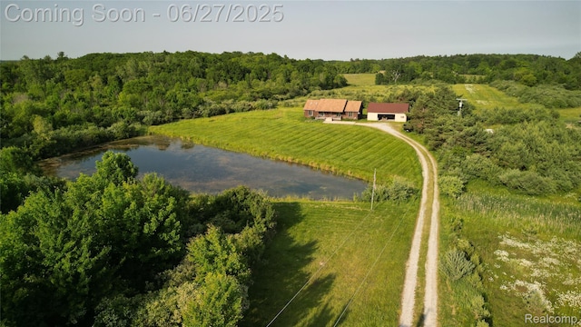 5050 Burton Rd, Capac, MI 48014 - aerial view of sparsely populated area with a large body of water and a forest