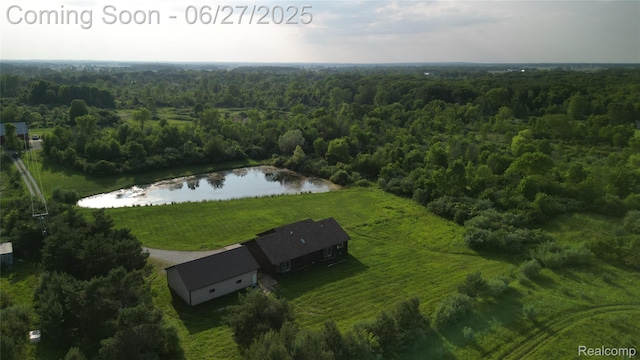5050 Burton Rd, Capac, MI 48014 - aerial view of a heavily wooded area and a nearby body of water