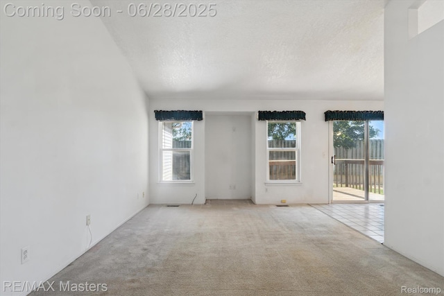 22571 Silver Creek Dr Unit 16, Woodhaven, MI 48183 - photo 4