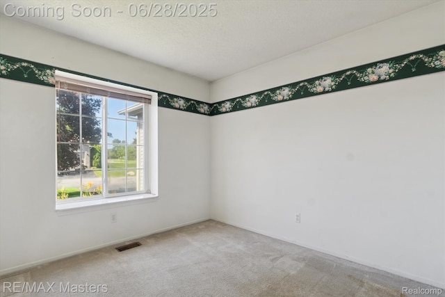 22571 Silver Creek Dr Unit 16, Woodhaven, MI 48183 - photo 9