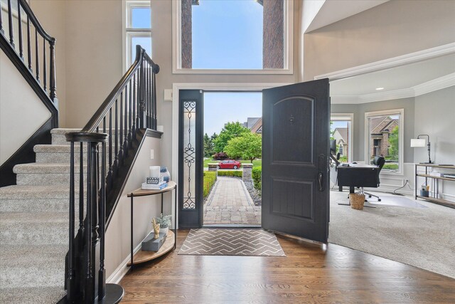 46746 Merion Cir, Northville, MI 48168 - foyer entrance with stairway, wood finished floors, crown molding, plenty of natural light, and a high ceiling