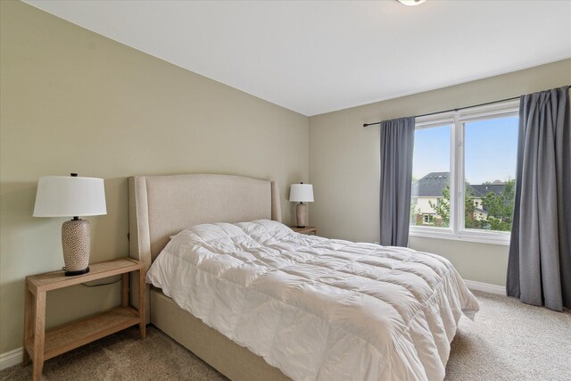 46746 Merion Cir, Northville, MI 48168 - bedroom with carpet flooring