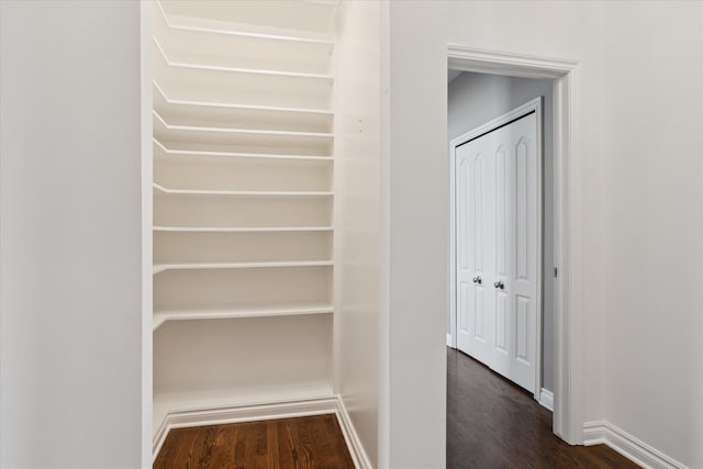 46746 Merion Cir, Northville, MI 48168 - view of closet
