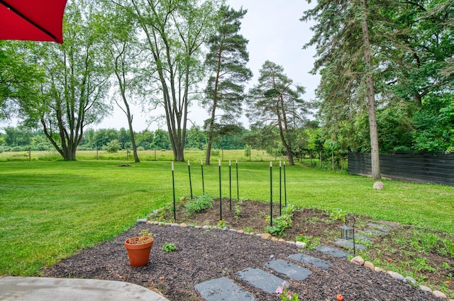 4151 Dexter Ann Arbor Rd, Ann Arbor, MI 48103 - view of yard