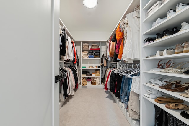 1053 Canterbury St, Birmingham, MI 48009 - walk in closet featuring carpet floors