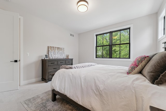 1053 Canterbury St, Birmingham, MI 48009 - carpeted bedroom featuring multiple windows