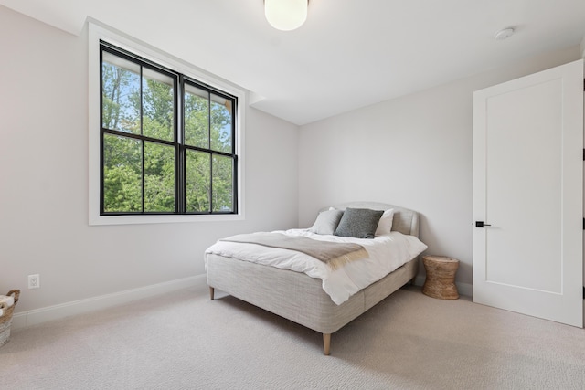 1053 Canterbury St, Birmingham, MI 48009 - bedroom featuring carpet