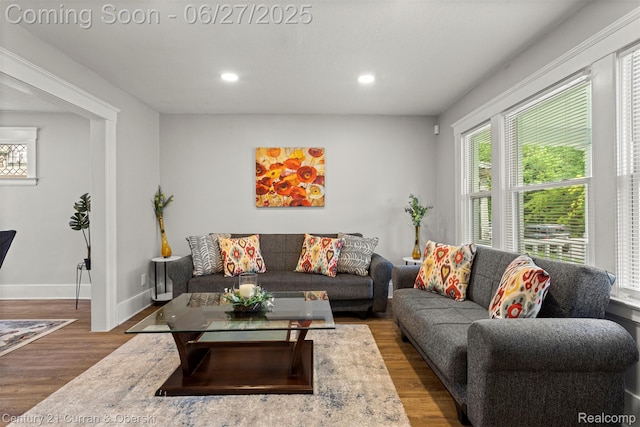3917 Bewick St, Detroit, MI 48214 - living area featuring wood finished floors and recessed lighting