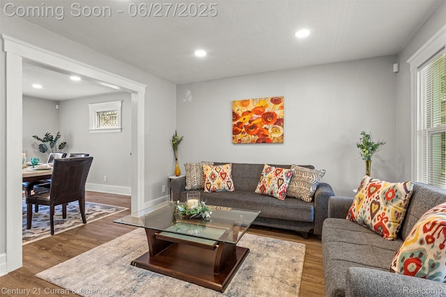 3917 Bewick St, Detroit, MI 48214 - living room featuring recessed lighting, plenty of natural light, and wood finished floors
