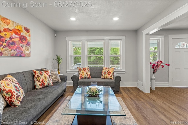 3917 Bewick St, Detroit, MI 48214 - living room with wood finished floors, recessed lighting, and a textured ceiling