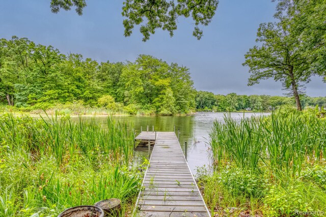 2685 Fry Rd, Highland, MI 48357 - dock area with a water view and a view of trees