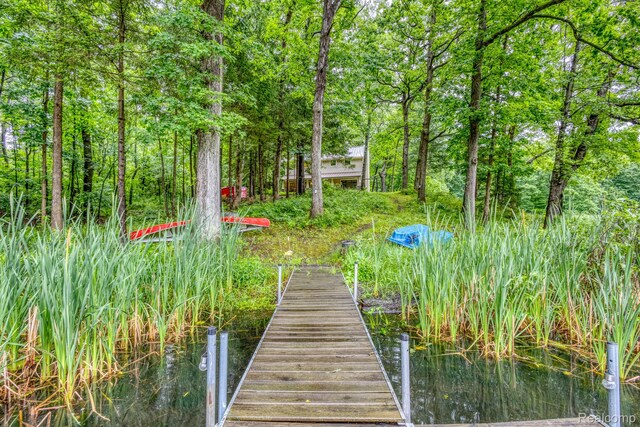 2685 Fry Rd, Highland, MI 48357 - view of dock