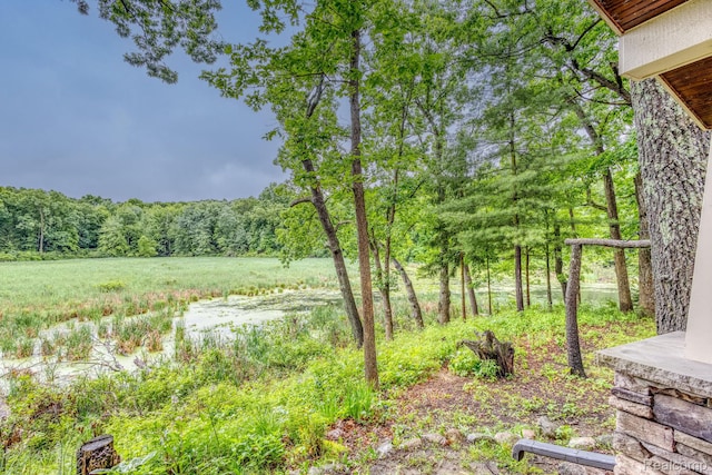 2685 Fry Rd, Highland, MI 48357 - view of yard featuring a forest view