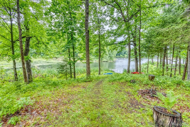 2685 Fry Rd, Highland, MI 48357 - view of yard with a water view