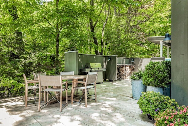 9182 Hemlock Ln, Bridgman, MI 49106 - view of patio with outdoor dining area and area for grilling