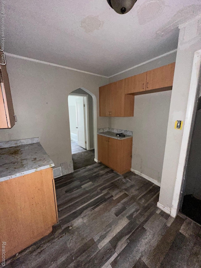 19738 Westphalia St, Detroit, MI 48205 - kitchen with arched walkways, dark wood finished floors, light countertops, and a textured ceiling