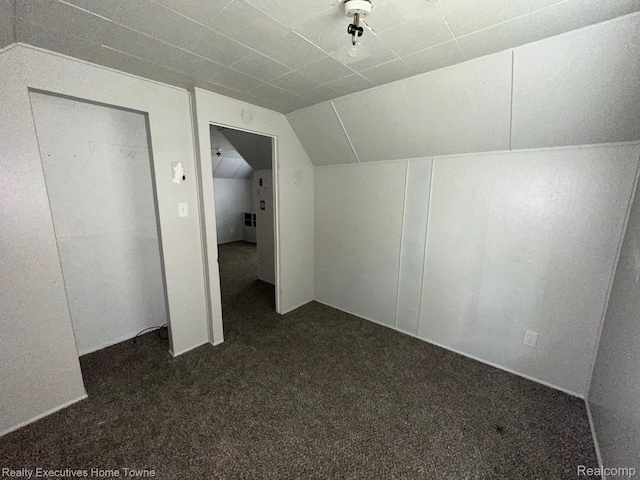 19738 Westphalia St, Detroit, MI 48205 - bonus room featuring dark carpet and vaulted ceiling