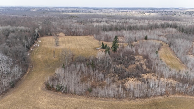 11048 Wilson Rd, Marion, MI 49665 - aerial overview of property's location featuring a forest and rural landscape