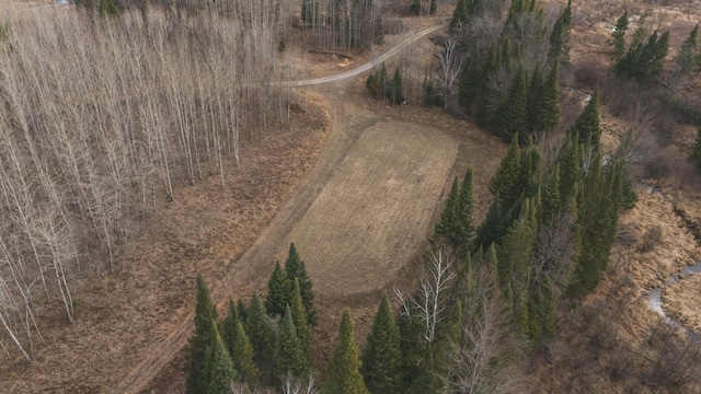 11048 Wilson Rd, Marion, MI 49665 - view of property location