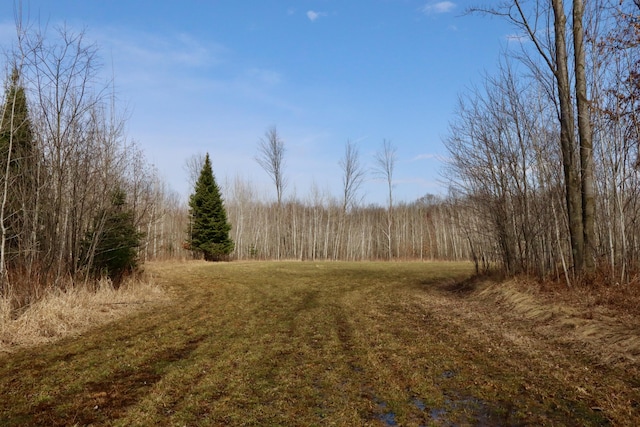 11048 Wilson Rd, Marion, MI 49665 - view of woods