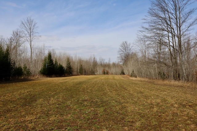11048 Wilson Rd, Marion, MI 49665 - view of wooded area