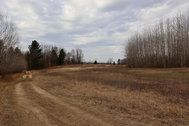 11048 Wilson Rd, Marion, MI 49665 - view of dirt / gravel road featuring a view of rural / pastoral area