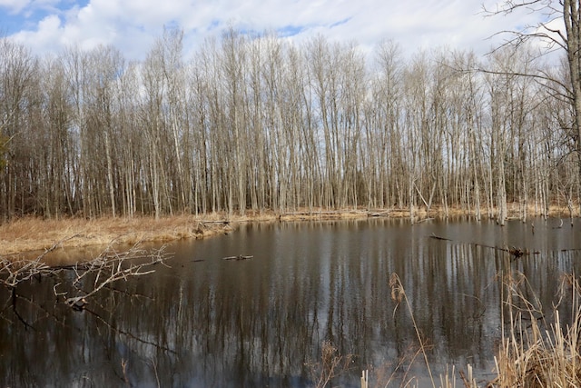 11048 Wilson Rd, Marion, MI 49665 - water view featuring a forest