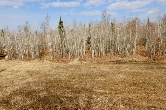 11048 Wilson Rd, Marion, MI 49665 - view of undeveloped land