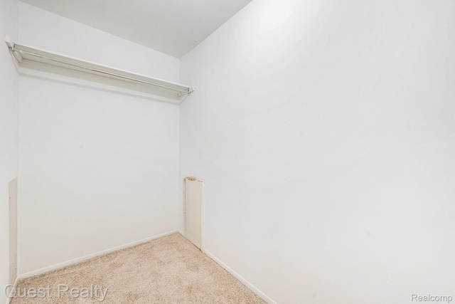 28041 Gettysburg St, Farmington, MI 48331 - spacious closet with light carpet