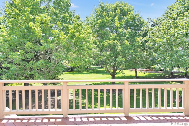 23397 Spy Glass Hill Hill N, South Lyon, MI 48178 - photo 74
