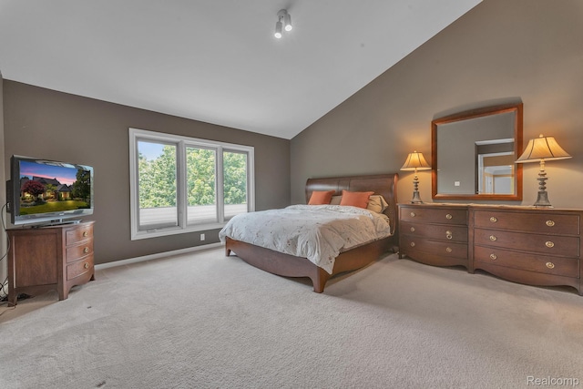 23397 Spy Glass Hill Hill N, South Lyon, MI 48178 - photo 38