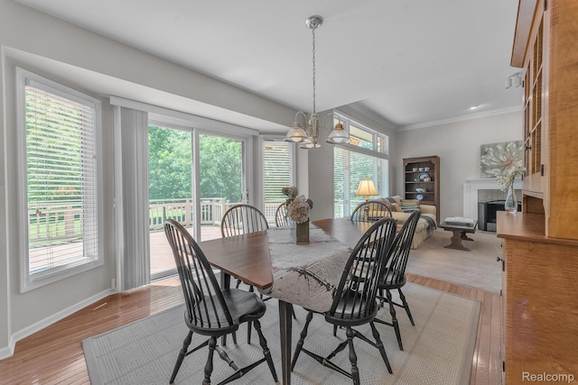 23397 Spy Glass Hill Hill N, South Lyon, MI 48178 - photo 23