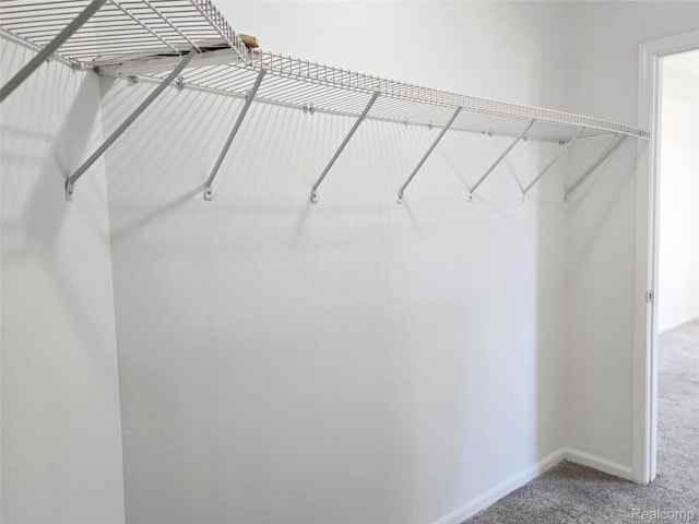 35260 Bradford Dr, New Baltimore, MI 48047 - walk in closet with carpet flooring