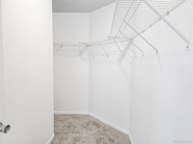 35260 Bradford Dr, New Baltimore, MI 48047 - walk in closet featuring carpet flooring