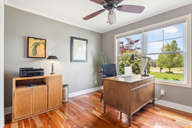7150 Limerick Ln SW, Byron Center, MI 49315 - office with ornamental molding, light wood-style flooring, and ceiling fan